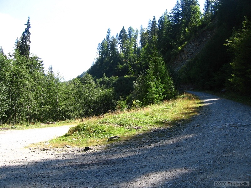 IMG_5650.JPG