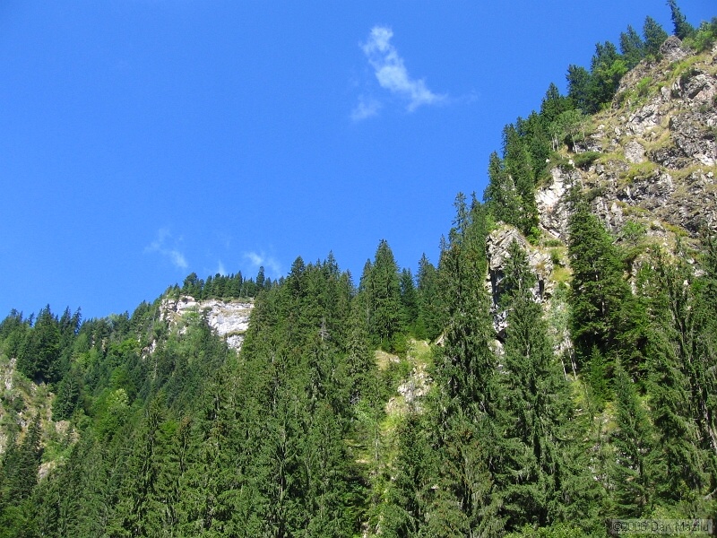 IMG_5652.JPG