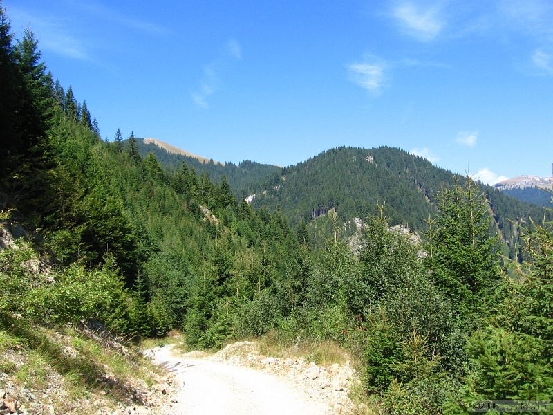 IMG_5657.JPG