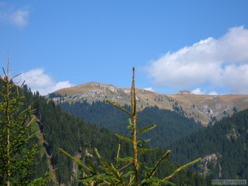 IMG_5658.JPG