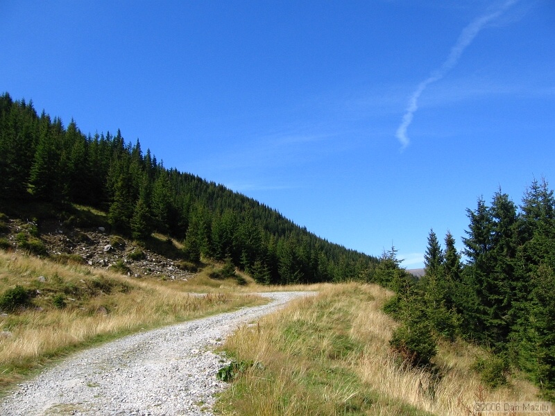 IMG_5665.JPG