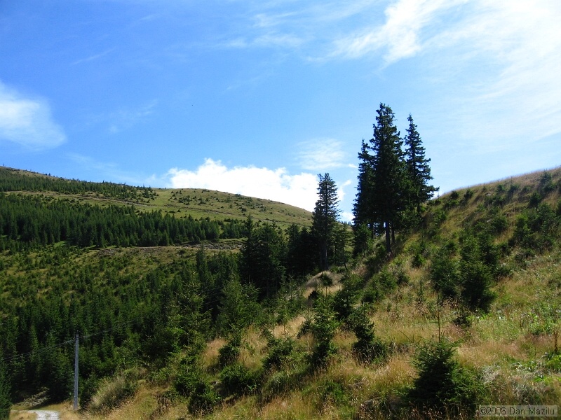 IMG_5666.JPG