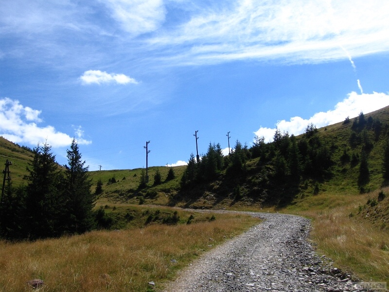 IMG_5667.JPG