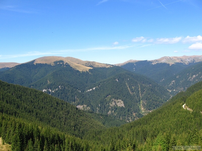 IMG_5669.JPG