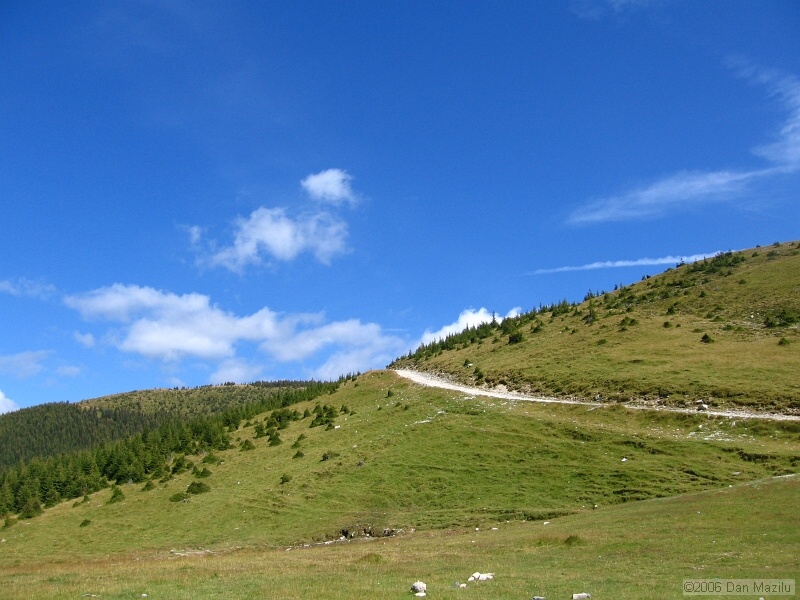 IMG_5676.JPG