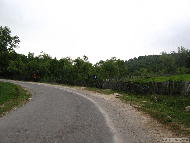 IMG_5686.JPG
