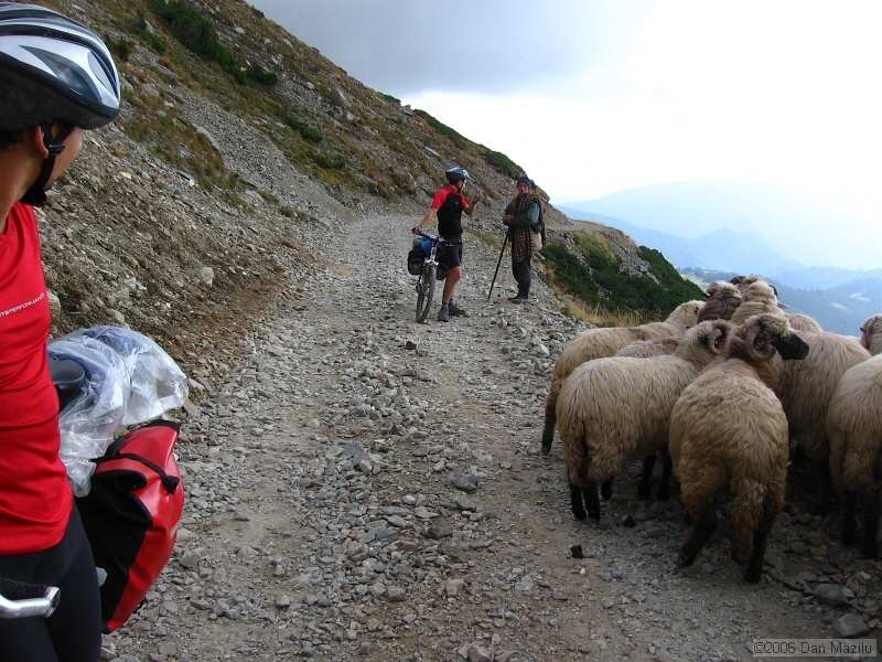 IMG_5765.JPG