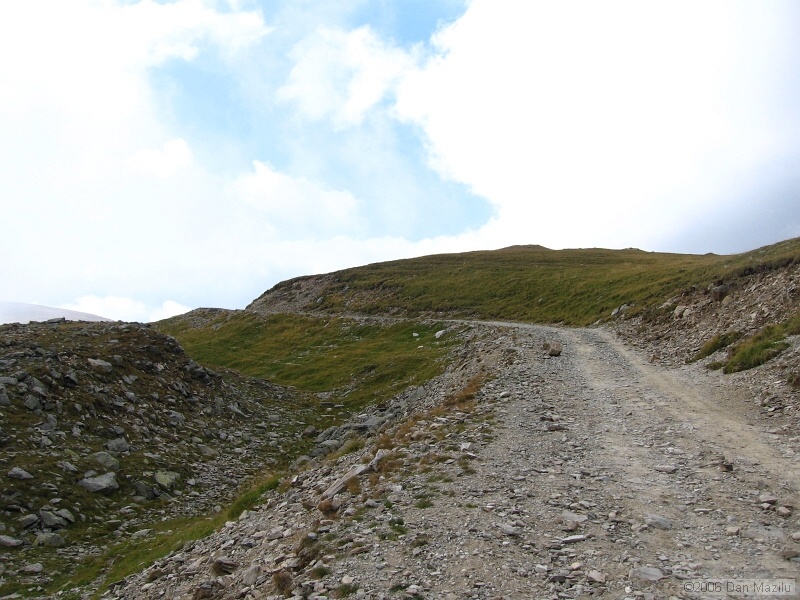 IMG_5772.JPG