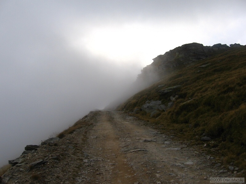 IMG_5778.JPG