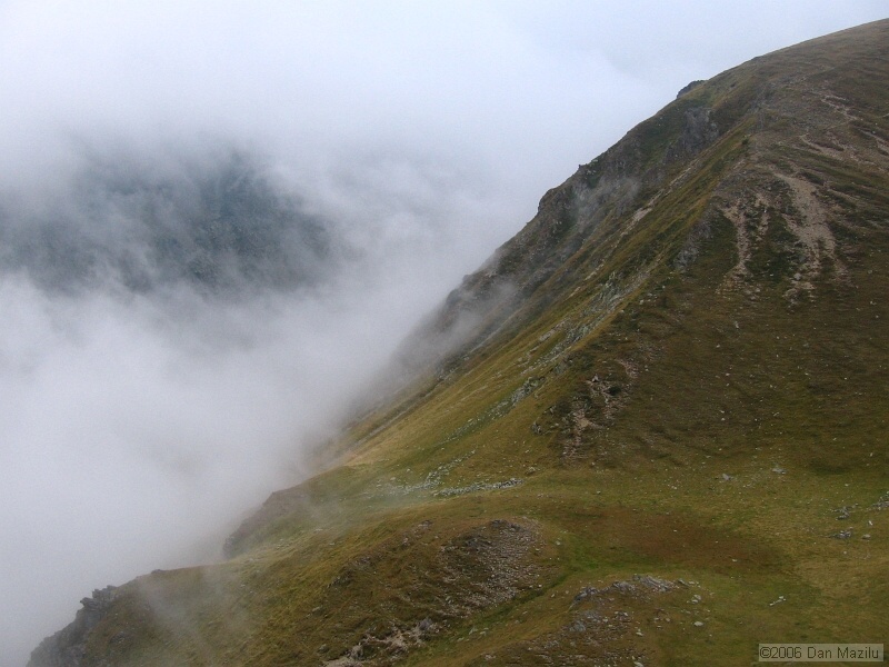 IMG_5783.JPG