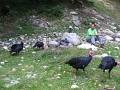 IMG_5708