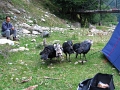 IMG_5711