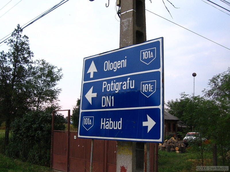 IMG_5492.jpg