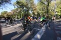 IMG_0382