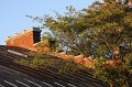 IMG_0849