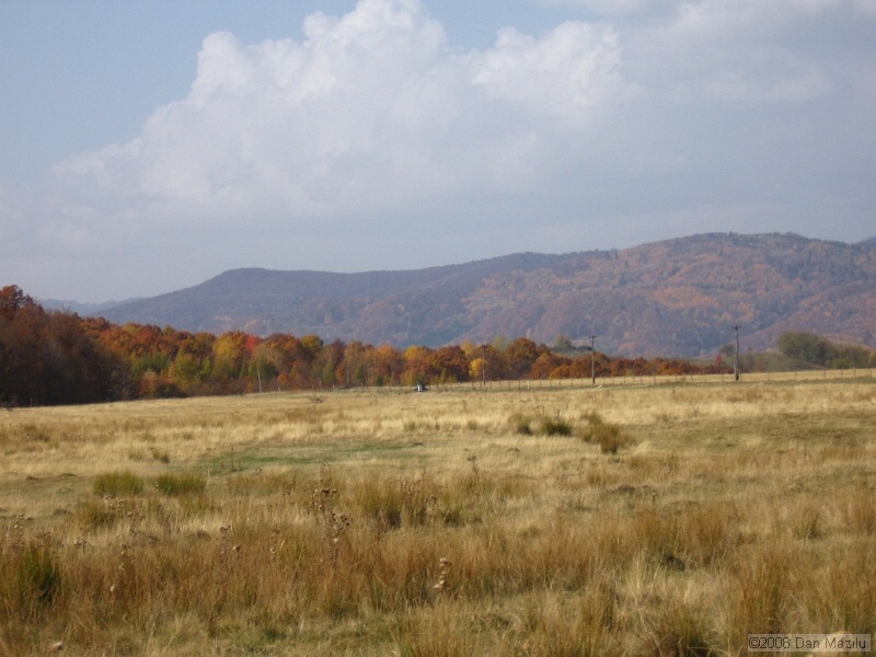 IMG_2670.JPG