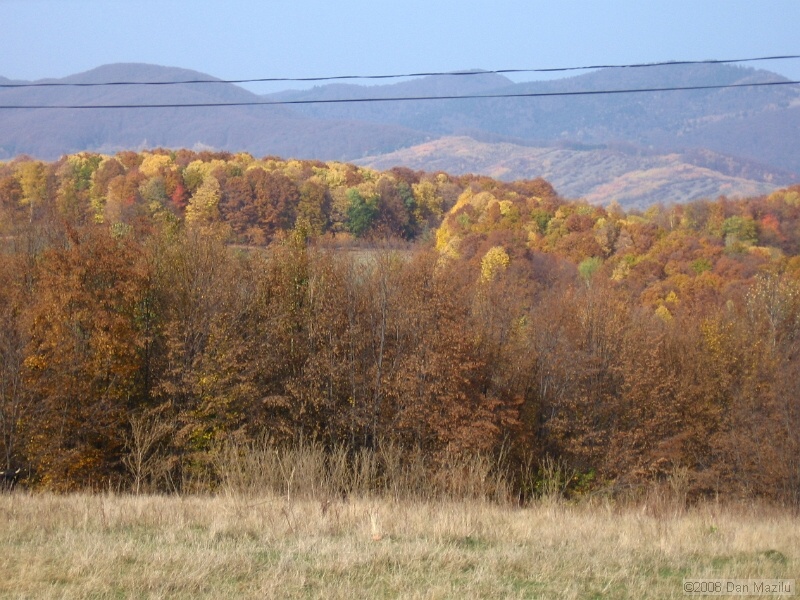 IMG_2681.JPG