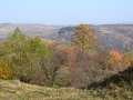 IMG_2820