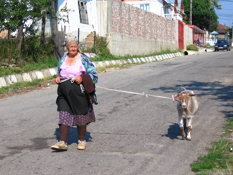 IMG_1425.JPG