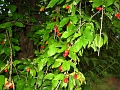 IMG_1501