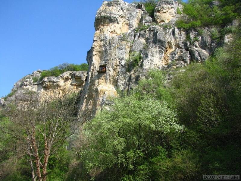 IMG_3598.JPG