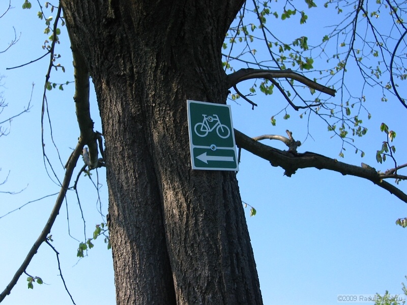 IMG_3730.JPG