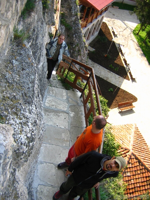 IMG_3737.JPG