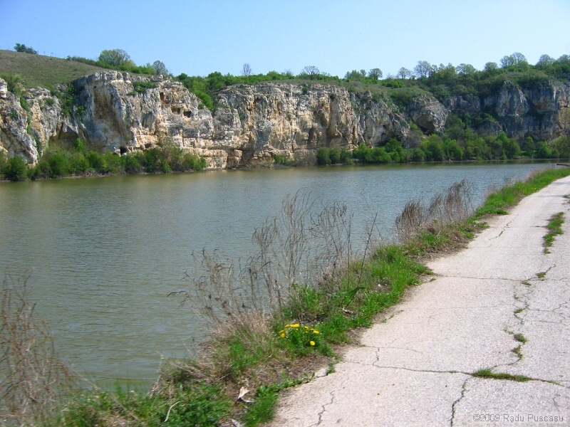 IMG_3779.JPG