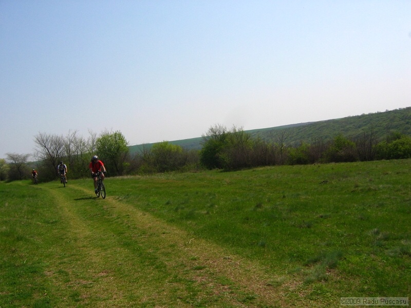 IMG_3791.JPG