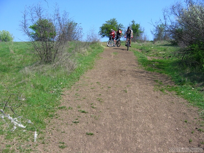 IMG_3793.JPG
