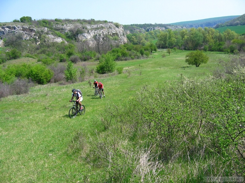 IMG_3795.JPG