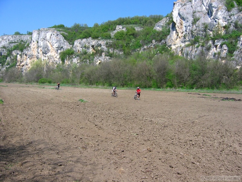 IMG_3809.JPG