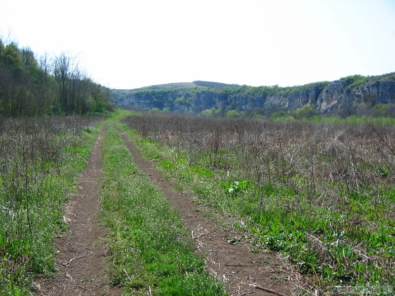 IMG_3813.JPG