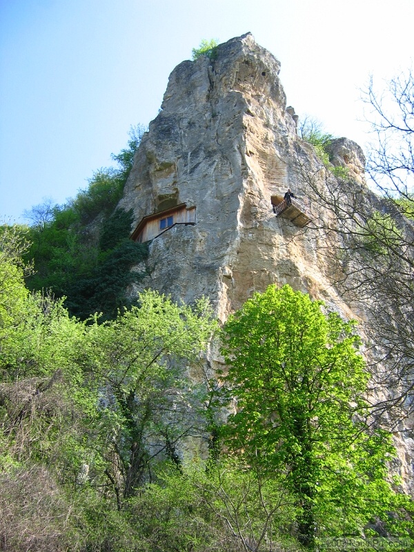 IMG_3828.JPG