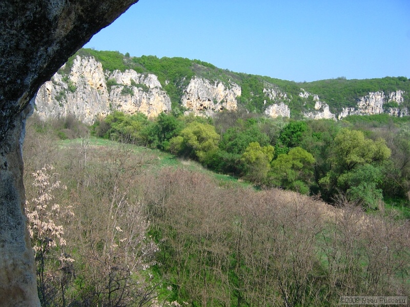 IMG_3836.JPG