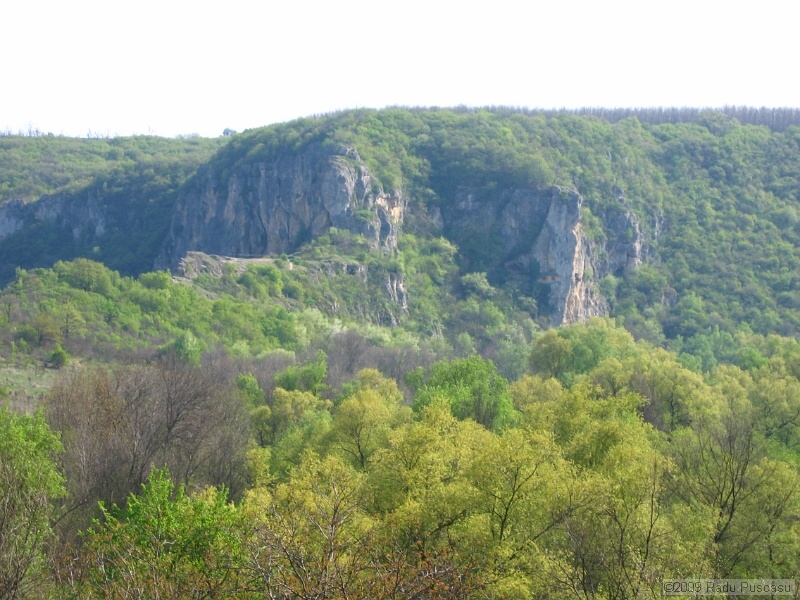 IMG_3846.JPG