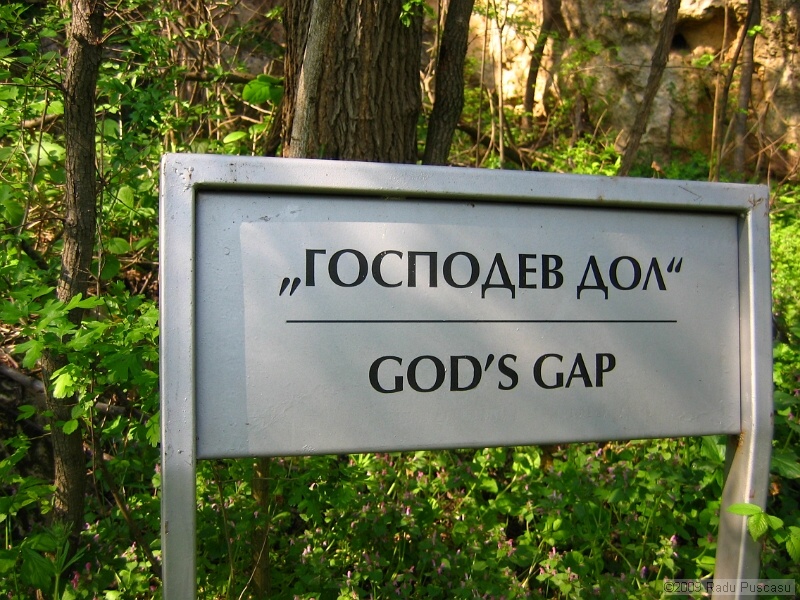 IMG_3849.JPG