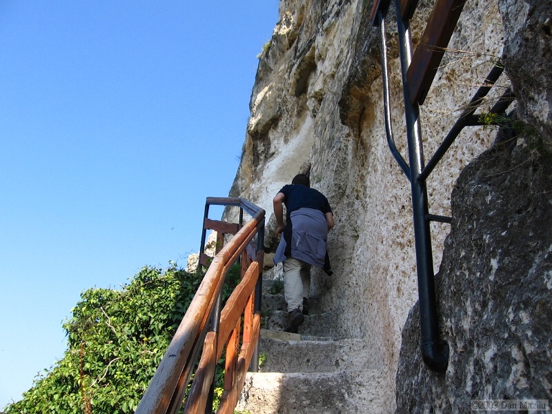 IMG_3897.JPG
