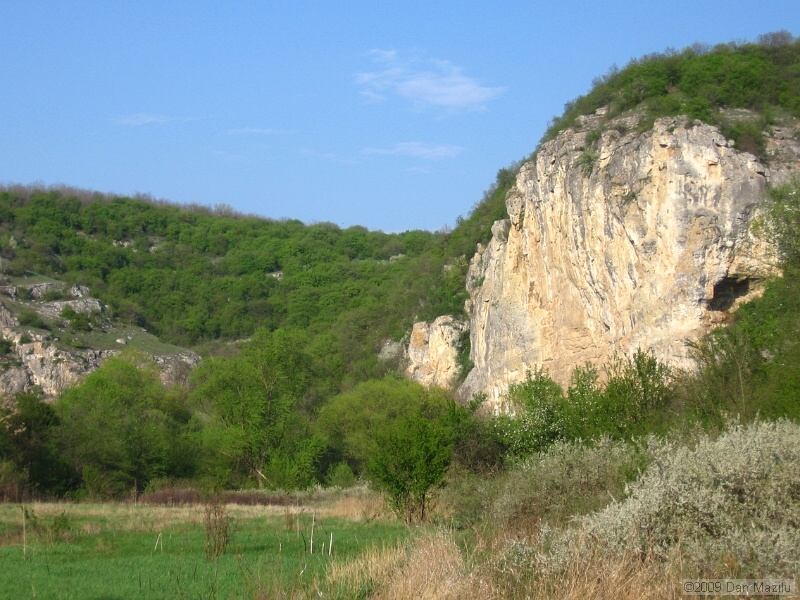 IMG_4118.JPG