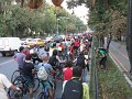 IMG_0756