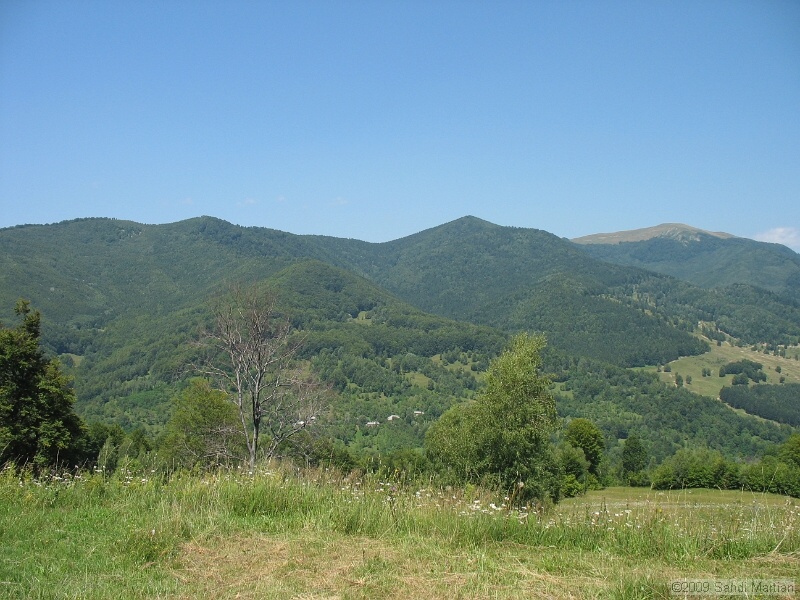 IMG_0268.JPG