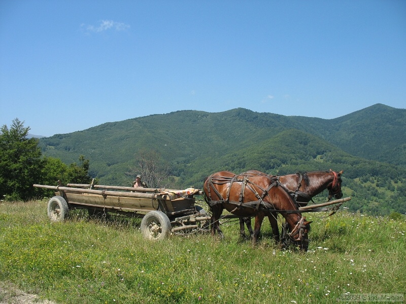 IMG_0272.JPG