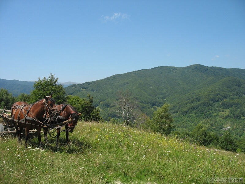 IMG_0273.JPG
