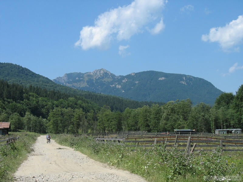 IMG_0309.JPG