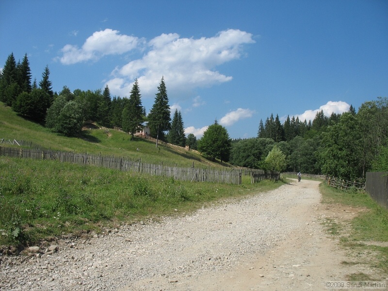 IMG_0318.JPG