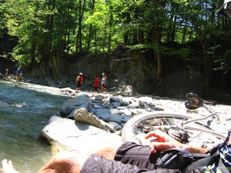 IMG_4993.JPG