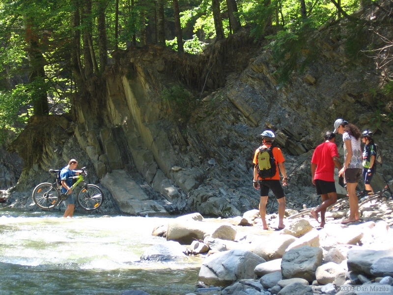 IMG_4995.JPG