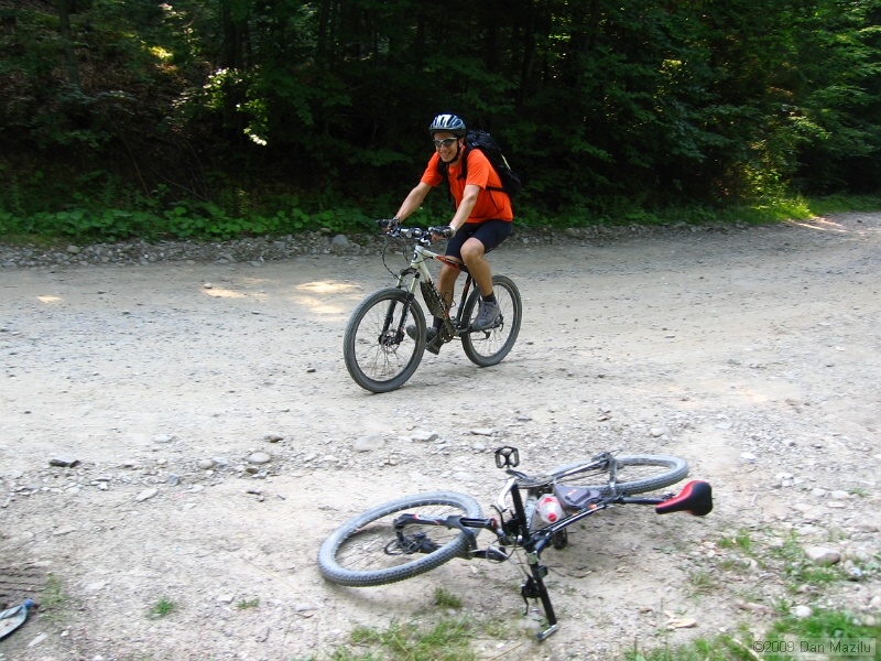 IMG_5009.JPG