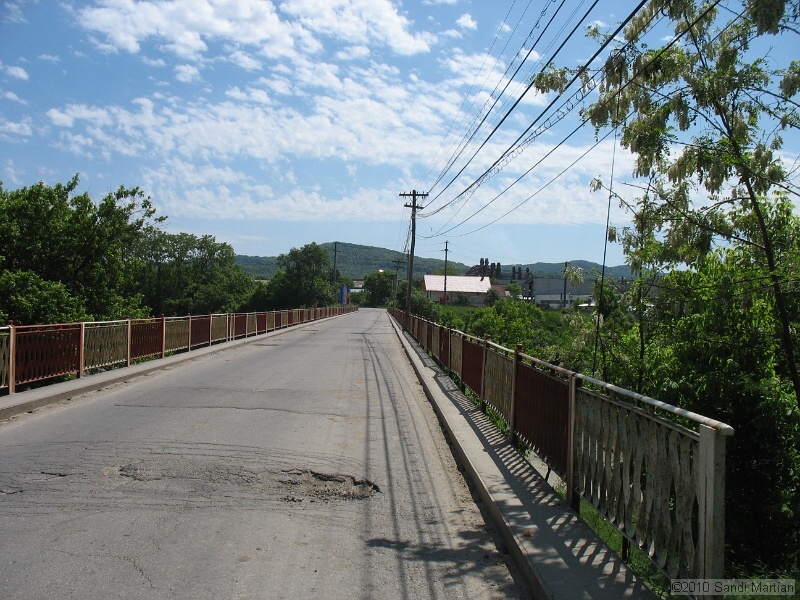 IMG_1235.jpg