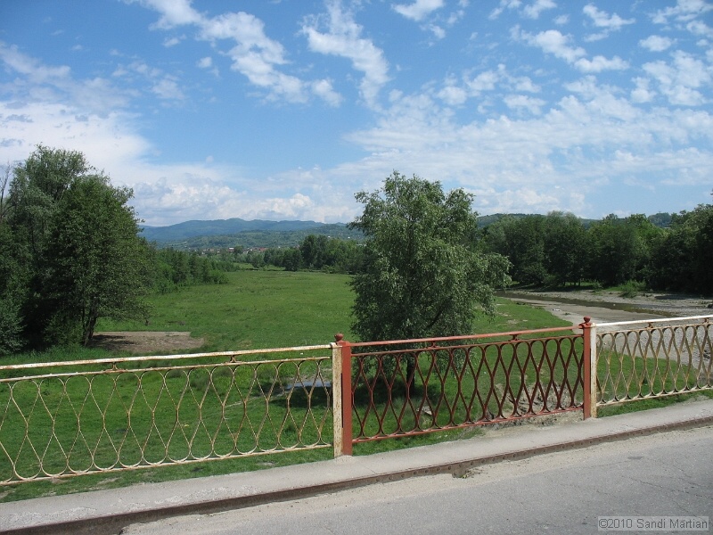 IMG_1236.jpg
